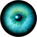 Elko S. profile picture